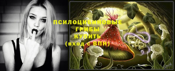 ПСИЛОЦИБИНОВЫЕ ГРИБЫ Алексеевка