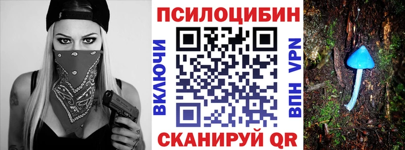 купить   Дербент  Галлюциногенные грибы Psilocybine cubensis 